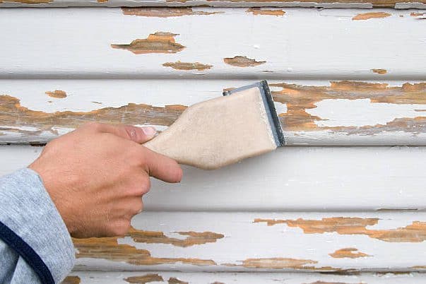 cropped-istockphoto-92264154-612x612.jpg